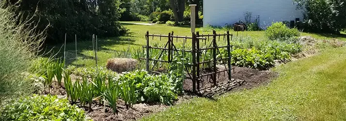 7 Benefits of Gardening and Yardwork on Your Mental, and Physical Health in St. Charles IL